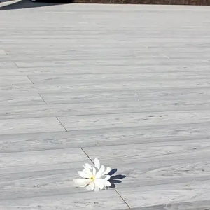 Террасная доска ДПК Bamberg Karelian Birch