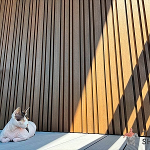 Реечные стеновые панели Different Lines, Australian Palisander, Co-Extrusion