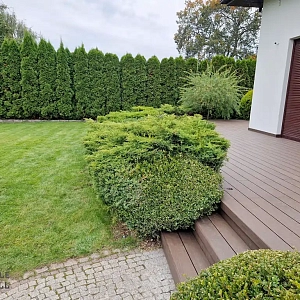 Террасная доска ДПК Turtle Shell, Australian Palisander, Co-Extrusion (Dual)